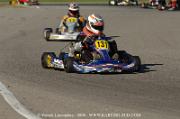 DSC_0228 (2)